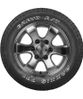 Maxxis AT771 Bravo заказать