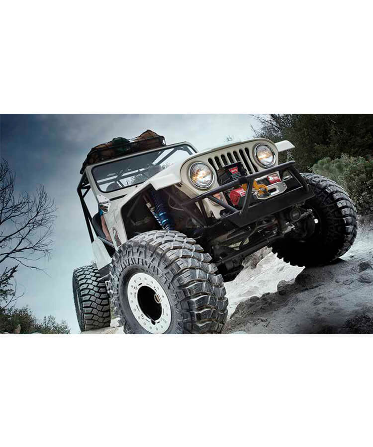 Maxxis M8090 Creepy Crawler заказать